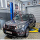 Захист двигуна Suzuki Vitara (2014+) Двигун: всі, [захищає Двигун та КПП] - ТИТАН