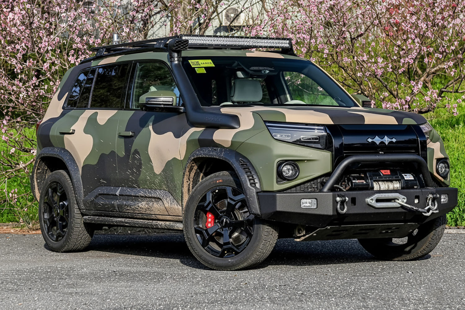 BYD Leopard 3 камо